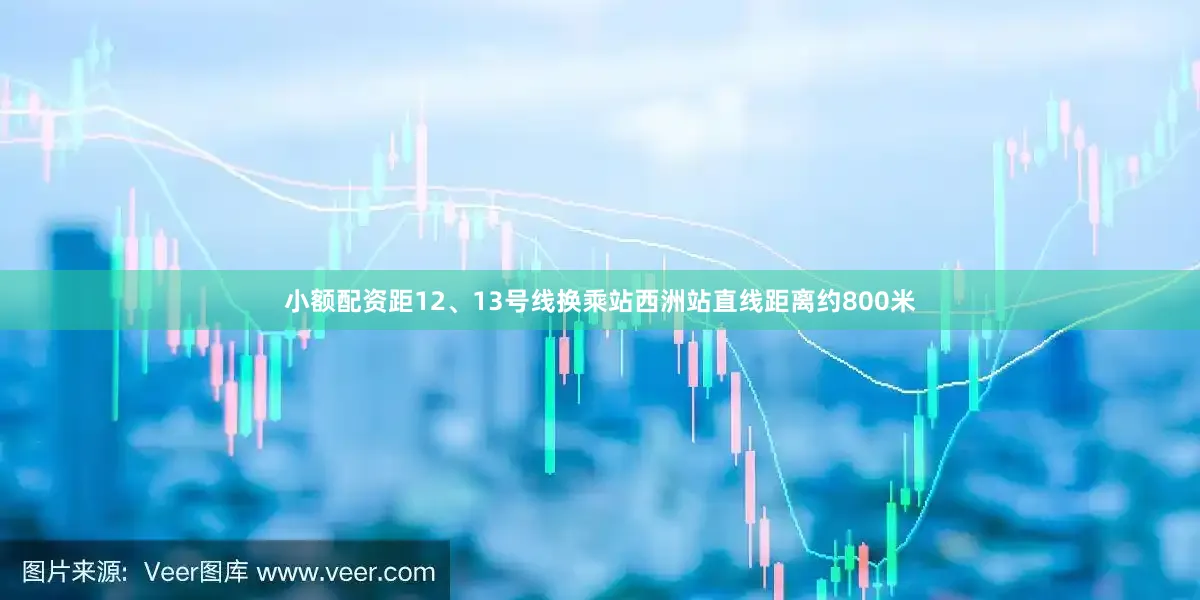 小额配资距12、13号线换乘站西洲站直线距离约800米