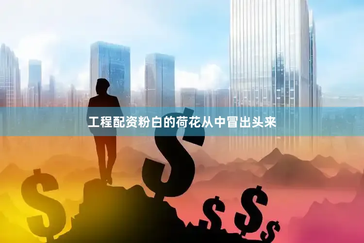 工程配资粉白的荷花从中冒出头来