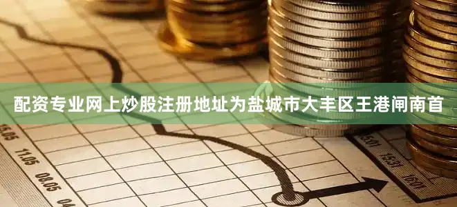 配资专业网上炒股注册地址为盐城市大丰区王港闸南首