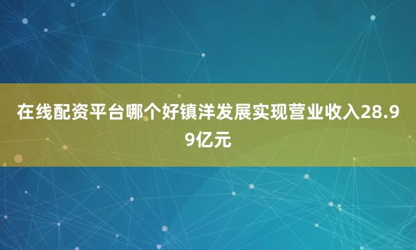 在线配资平台哪个好镇洋发展实现营业收入28.99亿元