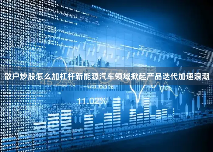 散户炒股怎么加杠杆新能源汽车领域掀起产品迭代加速浪潮