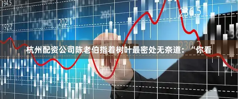 杭州配资公司陈老伯指着树叶最密处无奈道：“你看